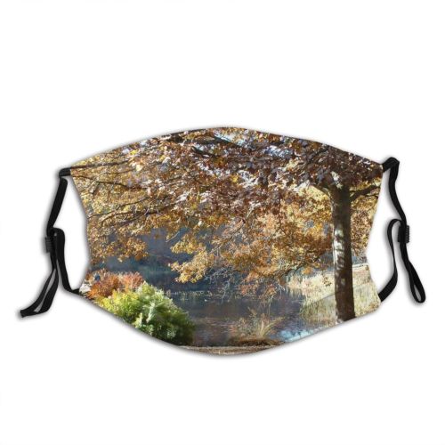 yanfind Stourhead Deciduous Wiltshire Landscape Sunlight Leaf Sky Fall Tree Plant Light Natural Dust Washable Reusable Filter and Reusable Mouth Warm Windproof Cotton Face