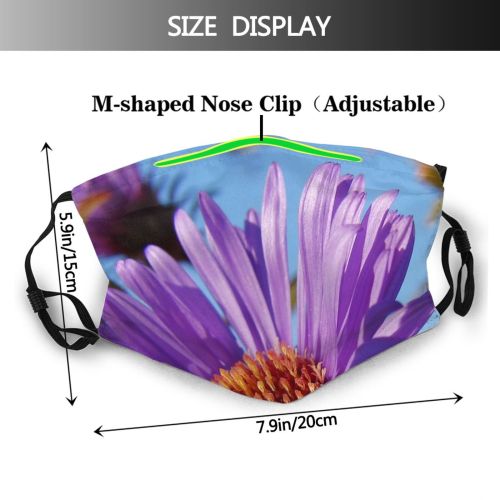 yanfind Flowering Flower Texture Violet Coloured Sky Purple Plant Plant Petal Autumn Flower Dust Washable Reusable Filter and Reusable Mouth Warm Windproof Cotton Face