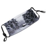 yanfind Winter Forest Cabin Sky Evergreen Switzerland Tree Forest Winter Natural Freezing Snow Dust Washable Reusable Filter and Reusable Mouth Warm Windproof Cotton Face