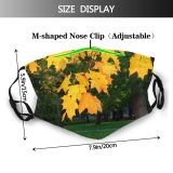 yanfind Maple Autumn Woody Leaves Colours Vegetation Maple Plant Fall Leaf Leaf Tree Dust Washable Reusable Filter and Reusable Mouth Warm Windproof Cotton Face