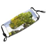 yanfind Spring Fall Natural Woody Landscape Sky Plant Fall Leaf Tree Tree Autumn Dust Washable Reusable Filter and Reusable Mouth Warm Windproof Cotton Face