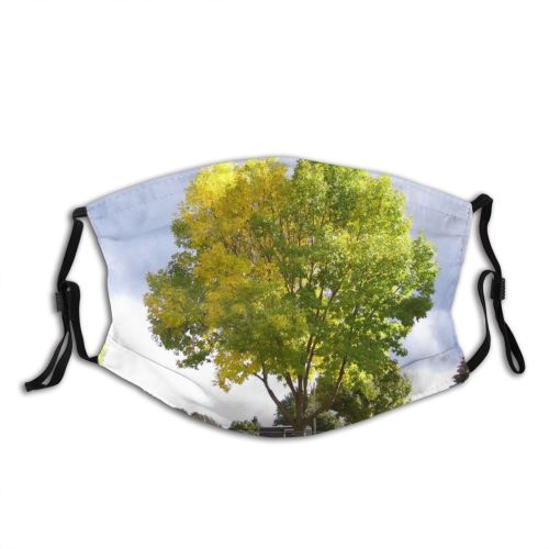 yanfind Spring Fall Natural Woody Landscape Sky Plant Fall Leaf Tree Tree Autumn Dust Washable Reusable Filter and Reusable Mouth Warm Windproof Cotton Face