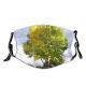 yanfind Spring Fall Natural Woody Landscape Sky Plant Fall Leaf Tree Tree Autumn Dust Washable Reusable Filter and Reusable Mouth Warm Windproof Cotton Face