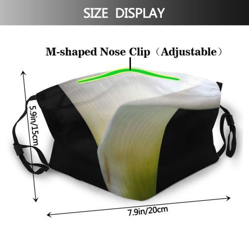 yanfind Lily Flower Lilly Cup Elegance Blossons Beauty Spring Seduce Plant Flowers Light Dust Washable Reusable Filter and Reusable Mouth Warm Windproof Cotton Face