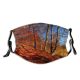 yanfind Temperate HDR Natural Autumn October Landscape Fall Broadleaf Forrest Leaf Forest Sunny Dust Washable Reusable Filter and Reusable Mouth Warm Windproof Cotton Face