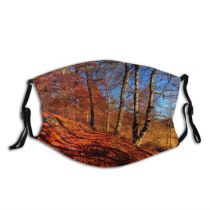 yanfind Temperate HDR Natural Autumn October Landscape Fall Broadleaf Forrest Leaf Forest Sunny Dust Washable Reusable Filter and Reusable Mouth Warm Windproof Cotton Face