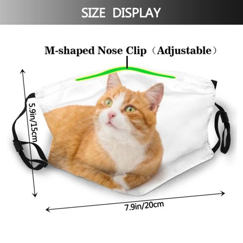 yanfind Isolated Whisker Fur Emotional Striped Cat Game Cute Staring Watching Posing Beautiful Dust Washable Reusable Filter and Reusable Mouth Warm Windproof Cotton Face