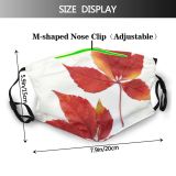 yanfind Flowering Deciduous Leaf Maple Leaf Plant Maple Flower Tree Plant Autumn Woody Dust Washable Reusable Filter and Reusable Mouth Warm Windproof Cotton Face