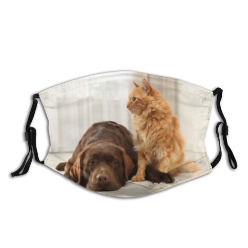 yanfind Friends Lovely Whisker Fur Together Cat Kitty Cute Doggie Resting Friendly Dog   Dust Washable Reusable Filter and Reusable Mouth Warm Windproof Cotton Face