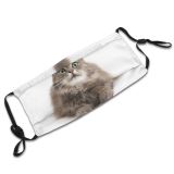 yanfind Isolated Pet Fluffy Eyes Cat Cute Adorable Dust Washable Reusable Filter and Reusable Mouth Warm Windproof Cotton Face