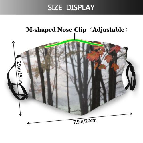 yanfind Natural Autumn Woody Leaves Maple Colorful Fall Plant Leaf Forest Hardwood Leaf Dust Washable Reusable Filter and Reusable Mouth Warm Windproof Cotton Face