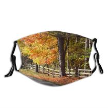 yanfind Natural Autumn Woody Rail Leaves Landscape Maple Plant Fall Sky Fence Road Dust Washable Reusable Filter and Reusable Mouth Warm Windproof Cotton Face