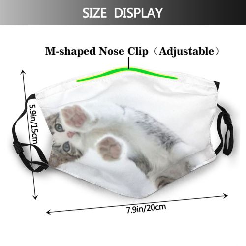yanfind Isolated Fur Straight Young Cat Game Cute Kitty Cheerful Scottish Beautiful Below Dust Washable Reusable Filter and Reusable Mouth Warm Windproof Cotton Face