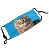 yanfind Fur Article Striped Cat Kitty Cute Coon Big Grey Staring Calendar Calm Dust Washable Reusable Filter and Reusable Mouth Warm Windproof Cotton Face