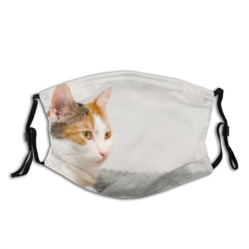 yanfind Comfortable Comfort Lovely Fur Young Bed Little Cat Kitty Cute Resting Cozy Dust Washable Reusable Filter and Reusable Mouth Warm Windproof Cotton Face