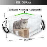 yanfind Fur Young Cat Kitty Cute Shorthair Window Condo Room Beautiful Pretty Face Dust Washable Reusable Filter and Reusable Mouth Warm Windproof Cotton Face