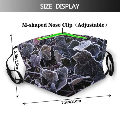 yanfind Design Leaf Plant Organism Ivy Groundcover Flower Dust Washable Reusable Filter and Reusable Mouth Warm Windproof Cotton Face
