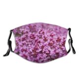 yanfind Blossom Spring Flower Botany Stem Garden Blooming Abundance Bud Smell Meadow Pistil Dust Washable Reusable Filter and Reusable Mouth Warm Windproof Cotton Face