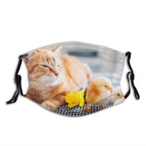 yanfind Friends Farm Bird Countryside Young Little Cat Village Farmer Easter Live Child Dust Washable Reusable Filter and Reusable Mouth Warm Windproof Cotton Face