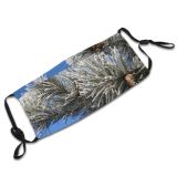 yanfind Winter Frost Freeze Sky Sugar Spruce Branches Woody Plant Cone Branch Needles Dust Washable Reusable Filter and Reusable Mouth Warm Windproof Cotton Face