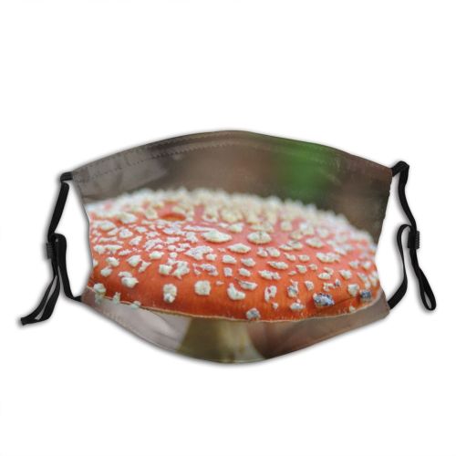 yanfind Mushroom Agaricomycetes Forest Organism Agaricus Agaric Medicinal Autumn Fungus Edible Mushroom Agaricaceae Dust Washable Reusable Filter and Reusable Mouth Warm Windproof Cotton Face
