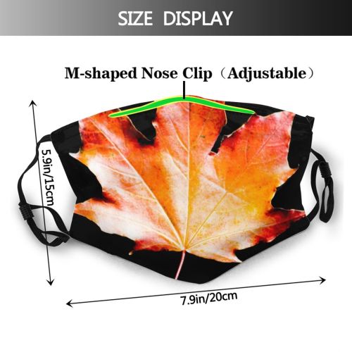 yanfind Maple Autumn Woody Leaves Maple Calm Fall Autumnal Plant Wood Plane Leaf   Dust Washable Reusable Filter and Reusable Mouth Warm Windproof Cotton Face