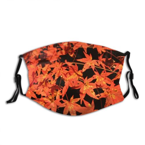 yanfind Flowering Leaves Leaf Maple Deciduous Leaf Kyoto Maple Plant Tree Plant Japan Dust Washable Reusable Filter and Reusable Mouth Warm Windproof Cotton Face