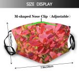 yanfind Flower Flowering Finland Leaf Plant Spring Lapland Tree Plant Autumn Petal Shrub Dust Washable Reusable Filter and Reusable Mouth Warm Windproof Cotton Face
