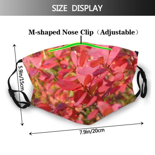 yanfind Flower Flowering Finland Leaf Plant Spring Lapland Tree Plant Autumn Petal Shrub Dust Washable Reusable Filter and Reusable Mouth Warm Windproof Cotton Face