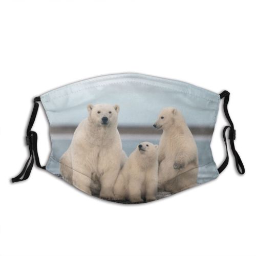 yanfind Kaktovik Slope Arctic Autumn Wild Island Rural Polar Scene Sandspit Snow Cub Dust Washable Reusable Filter and Reusable Mouth Warm Windproof Cotton Face