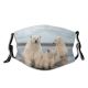 yanfind Kaktovik Slope Arctic Autumn Wild Island Rural Polar Scene Sandspit Snow Cub Dust Washable Reusable Filter and Reusable Mouth Warm Windproof Cotton Face