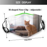 yanfind Comfort Happiness Fur Young Cat Kitty Cute Interior Window Pillow Room Relax Dust Washable Reusable Filter and Reusable Mouth Warm Windproof Cotton Face