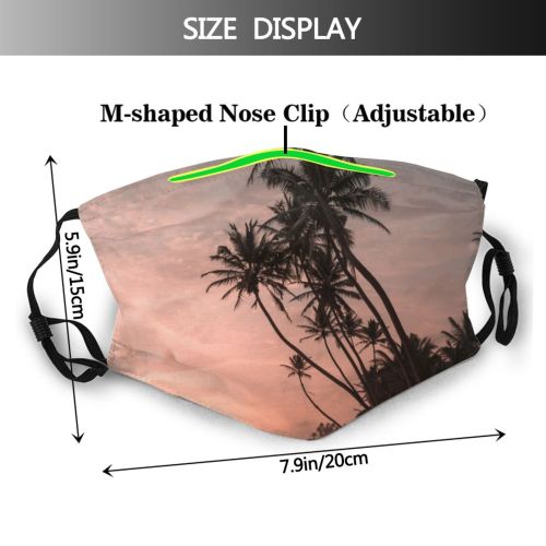 yanfind Idyllic Sunset Evening Exotic Dawn Beach Palm Outdoor Trees Outdoors Dusk Coconut Dust Washable Reusable Filter and Reusable Mouth Warm Windproof Cotton Face