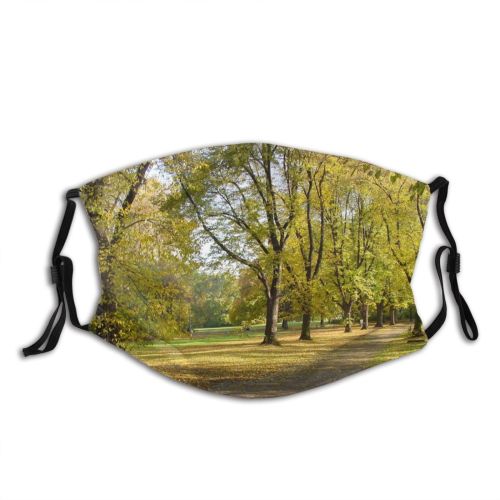 yanfind Natural Autumn Woody Landscape Fall Leaf Sunlight Leaf Tree Tree Park Woodland Dust Washable Reusable Filter and Reusable Mouth Warm Windproof Cotton Face