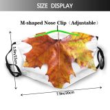 yanfind Texture Maple Autumn Woody Maple Plant Fall Plane Leaf Leaf Tree Autumn Dust Washable Reusable Filter and Reusable Mouth Warm Windproof Cotton Face