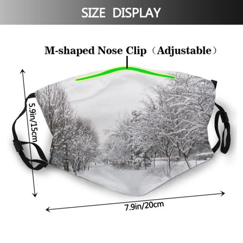 yanfind Winter Sky Trees Tree Branch Frost Winter Freezing Atmospheric Snow Snow Dust Washable Reusable Filter and Reusable Mouth Warm Windproof Cotton Face