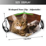 yanfind Comfort Lovely Fur Young Striped Cat Cute Relaxed Nose Yard Summer Soft Dust Washable Reusable Filter and Reusable Mouth Warm Windproof Cotton Face