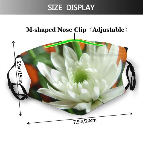 yanfind Winter Horizon Winter Atmospheric Cloud Sunset Sky Snow Nevada Mountain Sagebrush Season Dust Washable Reusable Filter and Reusable Mouth Warm Windproof Cotton Face