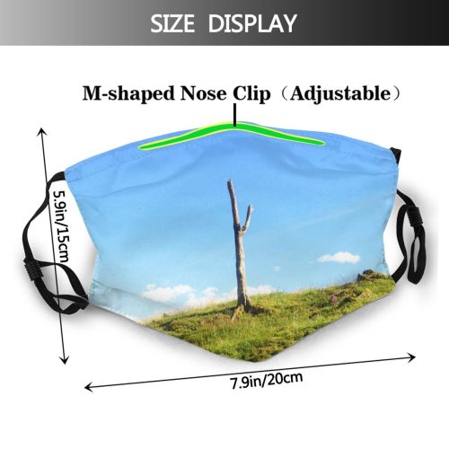 yanfind Gras Sky Grass Tree Mandrel Tree Wilderness Lonley Cloud Dead Clouds Alone Dust Washable Reusable Filter and Reusable Mouth Warm Windproof Cotton Face