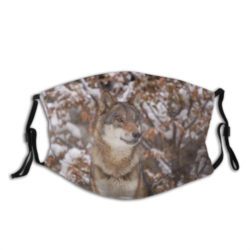 yanfind Lupus Vertebrate Wolfdog Tundrarum Carnivore Canidae Canis Wolf Wolf Canis Coyote Wildlife Dust Washable Reusable Filter and Reusable Mouth Warm Windproof Cotton Face