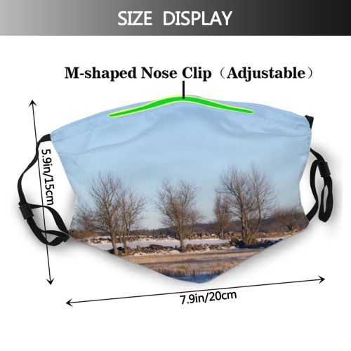 yanfind Rural Landscape Europe Sky Tree Plant Winter Natural Freezing Snow Ecoregion Area Dust Washable Reusable Filter and Reusable Mouth Warm Windproof Cotton Face