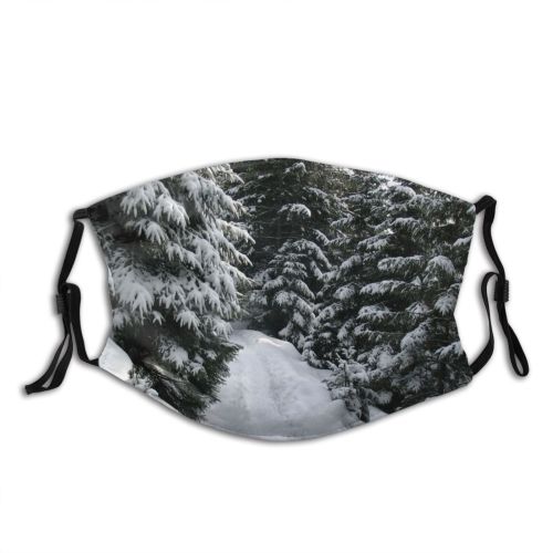 yanfind Fir Winter Path Geological Tree Tree Plant Forest Winter Freezing Snow Woody Dust Washable Reusable Filter and Reusable Mouth Warm Windproof Cotton Face
