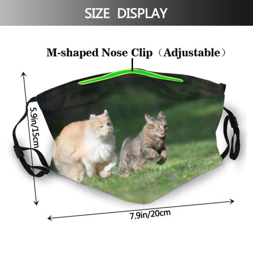 yanfind Other Escaping Garden Fur Sunlight Cat Backyard Fawn Racing Shorthair Coon Attack Dust Washable Reusable Filter and Reusable Mouth Warm Windproof Cotton Face