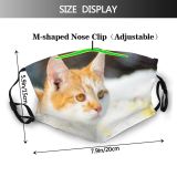 yanfind Fur Young Cat Kitty Cute Beautiful Pretty Pet Eyes Portrait Kitten Adorable Dust Washable Reusable Filter and Reusable Mouth Warm Windproof Cotton Face