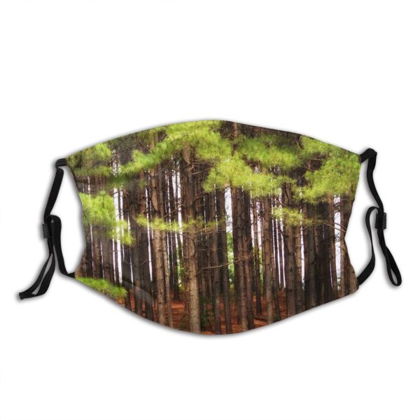 yanfind Natural Landscape Cedar Spruce Pine Forest Hardwood Arkansas Northern Tree Forest Forests Dust Washable Reusable Filter and Reusable Mouth Warm Windproof Cotton Face