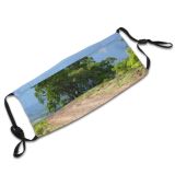 yanfind Plant Field Tempest Tree Tree Trail Road Storm Clouds Woody Road Sky Dust Washable Reusable Filter and Reusable Mouth Warm Windproof Cotton Face