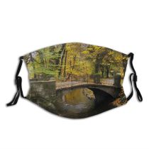 yanfind Humpback Natural Autumn Landscape Reflection Fall Leaf River Koszalin Tree Poland Autumn Dust Washable Reusable Filter and Reusable Mouth Warm Windproof Cotton Face