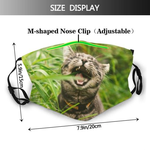 yanfind Garden Lovely Fur Young Cat Cute Vitamins Grow Herb Summer Meadow Catnip Dust Washable Reusable Filter and Reusable Mouth Warm Windproof Cotton Face