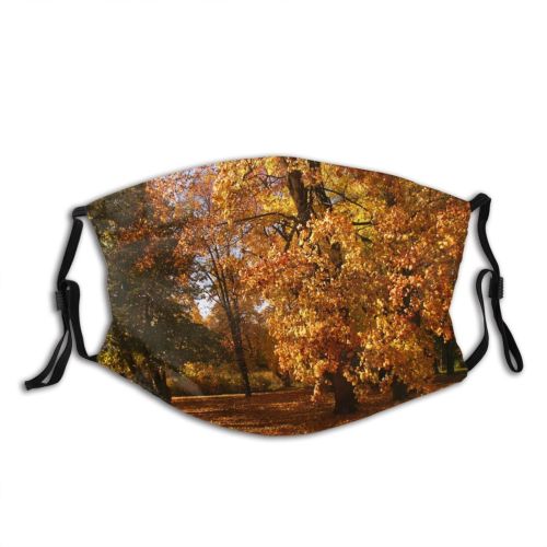 yanfind Deciduous Landscape Leaf Tree Plant Natural Autumn Autumn Woodland Woody    Dust Washable Reusable Filter and Reusable Mouth Warm Windproof Cotton Face