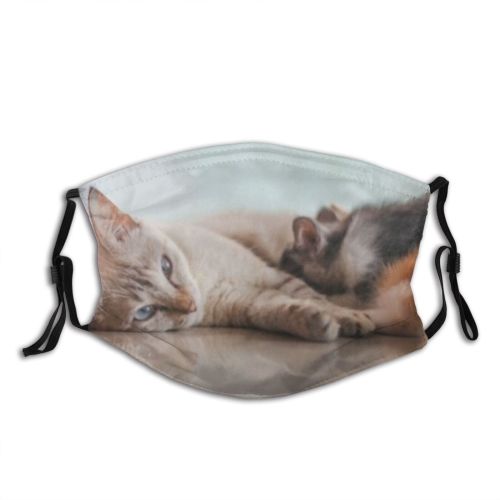 yanfind Isolated Fur Young Mother Life Cat Kitty Cute Newborn Searching Baby Puss Dust Washable Reusable Filter and Reusable Mouth Warm Windproof Cotton Face